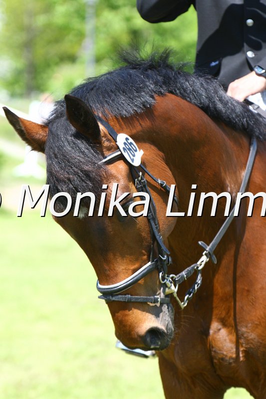 005M5338_Spirit of Leika_L Springen.JPG